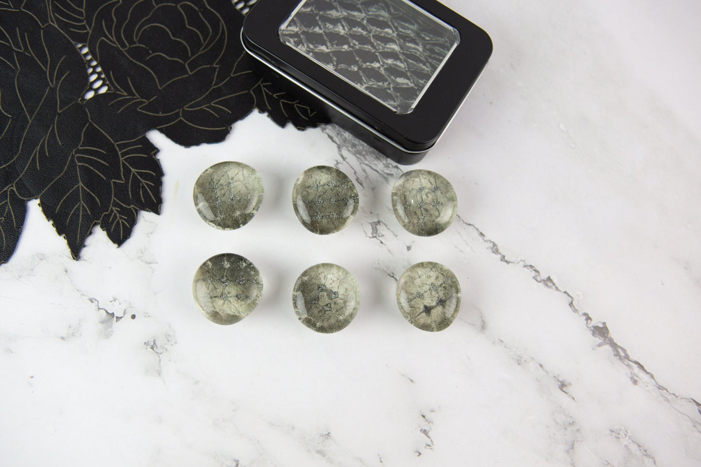 Snakeskin Glass Magnet Set of 6